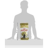 Royal Canin British Shorthair Adult 2kg
