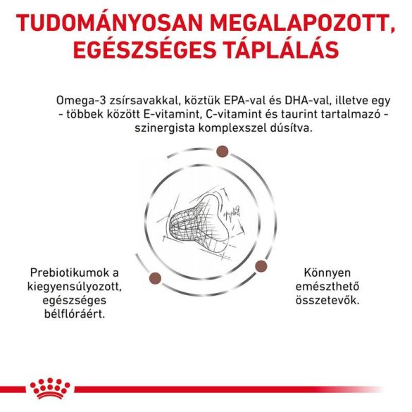 Royal Canin Expert Feline Gastrointestinal Fibre Response 4kg