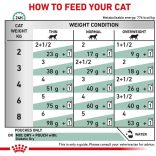 Royal Canin Feline Diabetic 46 S/D 3,5 kg