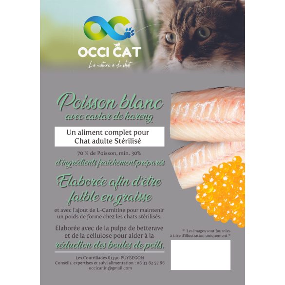 OC Connoisseur sterilizált macska Fehér hal és hering kaviár 5kg