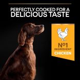 PRO PLAN Sensitive Digestion Large Athletic felnőtt kutyaeledel bárányhúsban gazdag 14kg + MEGLEPETÉS A KUTYÁDNAK