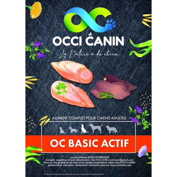 OC Basic ACTIF gabonamentes 12kg