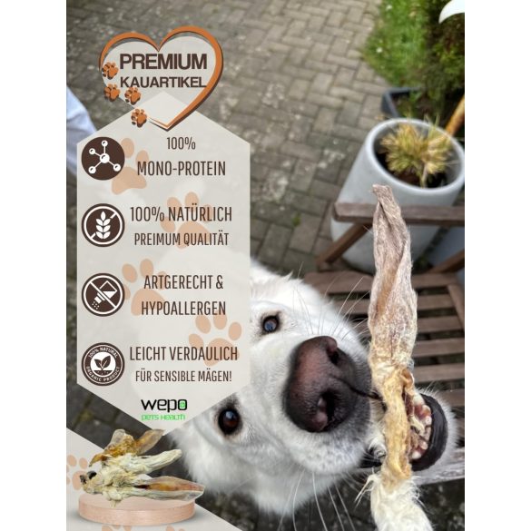 Szárított szőrös nyúlfül 1 kg, HAPPY BULLDOG