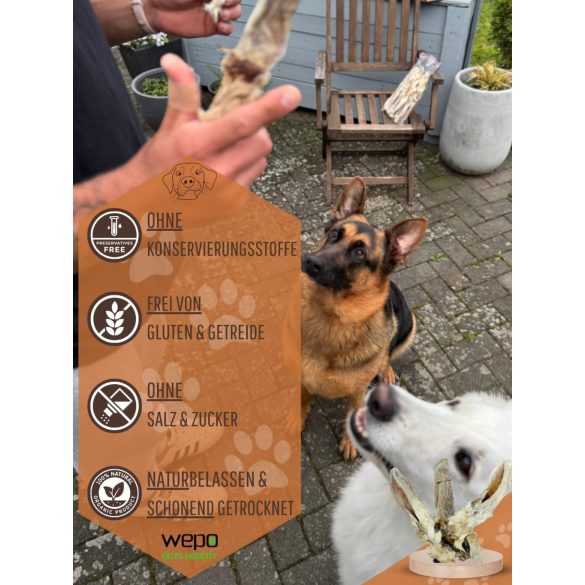 Szárított szőrös nyúlfül 1 kg, HAPPY BULLDOG