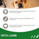 IAMS For Vitality Adult Large Breed Lamb 12 kg