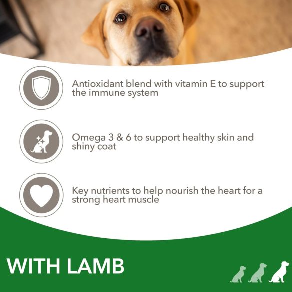 IAMS For Vitality Adult Large Breed Lamb 12 kg