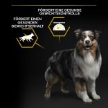 PRO PLAN OptiWeight All Size Adult Light/Sterilised chicken 14 kg