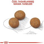 Royal Canin Maxi Puppy  10 kg