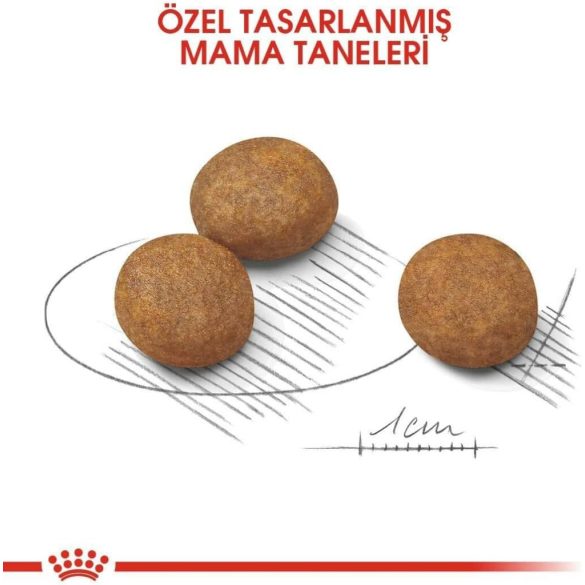 Royal Canin Maxi Puppy  10 kg