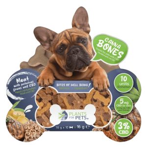 CBD jutalomfalat kutyáknak | NÖVÉNYEK HÁZIÁLLATOKNAK