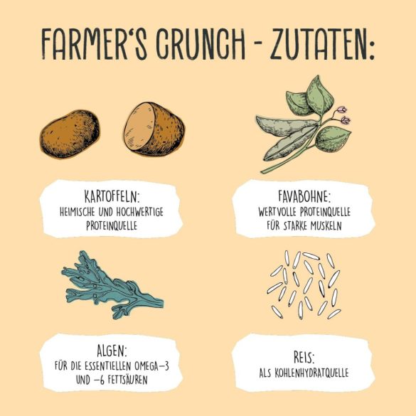 VEGDOG Farmer's Crunch vegán szárazeledel felnőtt kutyáknak burgonyával és favbeannel, gabonamentes teljes értékű eledel allergiásoknak alternatív fehérjeforrással (5 kg)
