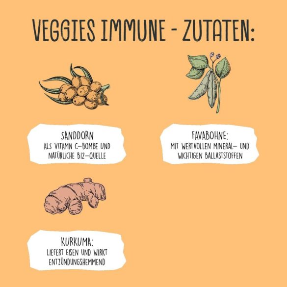 VEGDOG Veggies Immune Vegán Snack kutyáknak, Gabonamentes tréningfalat allergiásoknak burgonyával és Favababbal az erős immunrendszerért 125g