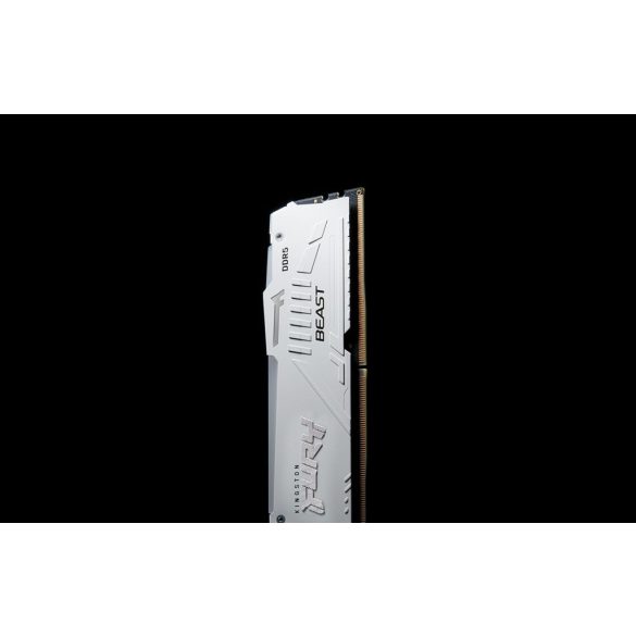 Kingston FURY Beast RGB 32GB DDR5 6000MHz KF560C36BWEA-32