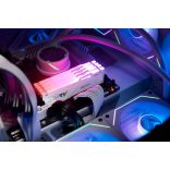 Kingston FURY Beast RGB 32GB DDR5 6000MHz KF560C36BWEA-32