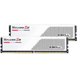 G.SKILL Ripjaws S5 32GB (2x16GB) DDR5 5600MHz F5-5600J4040C16GX2-RS5W
