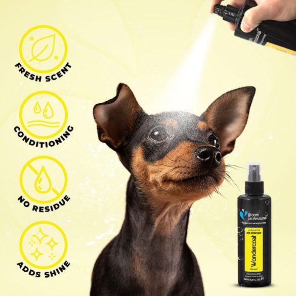 Groom Professional Wondercoat kutyaspray - Szőrkondicionáló és -eltávolító spray kutyáknak - Segíti a szőrzet és a bőr állapotát is - Tiszta, friss illat - Minden szőrtípushoz alkalmas, 200 ml