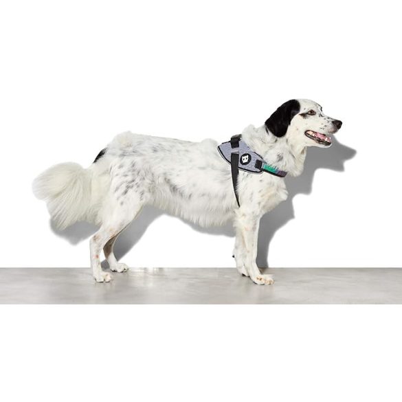 Zee.Dog Urban Flyhring 4-es méret