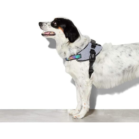 Zee.Dog Gotham Flyhring 1-es méret