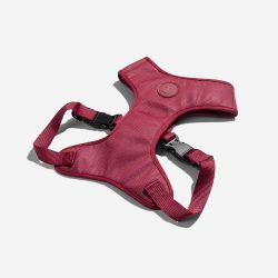   Zee.Dog Bordeau állítható léghálós hám, közepes méret