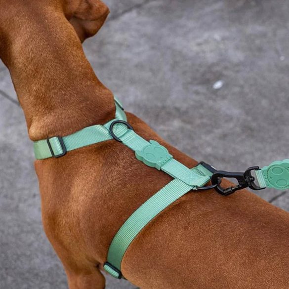 Zee.Dog H-Harness Extra Small