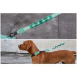 Zee.Dog Army Green Ruff kutyapóráz kis méret