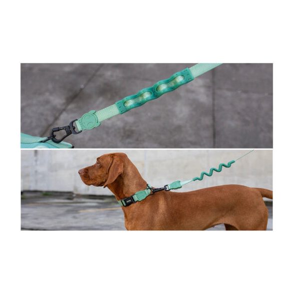 Zee.Dog Army Green Ruff kutyapóráz kis méret