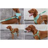 Zee.Dog Army Green Ruff kutyapóráz kis méret