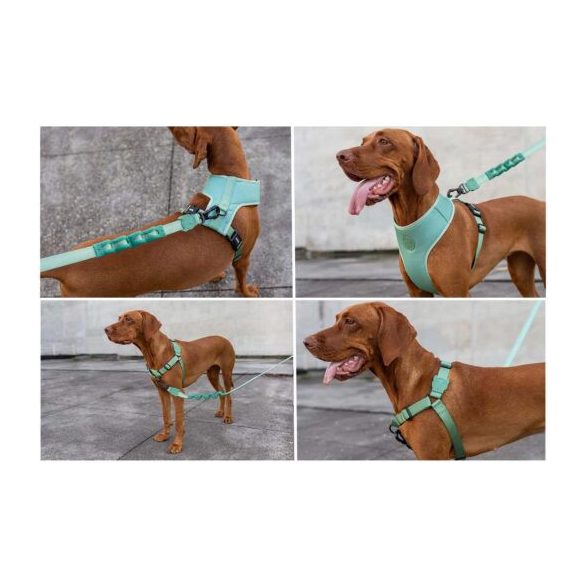 Zee.Dog Army Green Ruff kutyapóráz kis méret