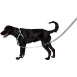 Zeed.dog katonazöld póráz nagy méret