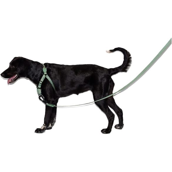 Zeed.dog katonazöld póráz nagy méret