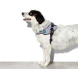 Zee.Dog Urban Flyhring kutyahám 5-ös méret 